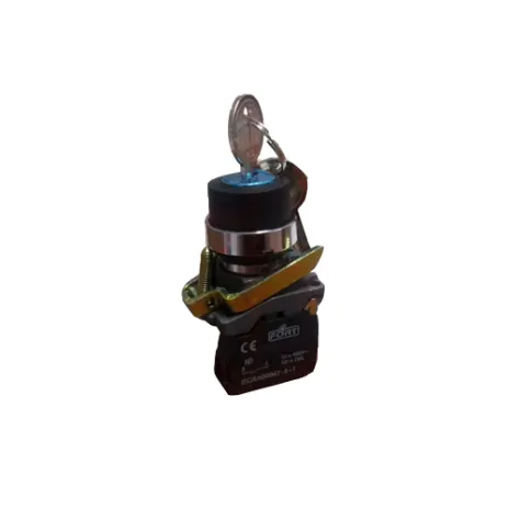 LAY-4 SERIES FORT SELECTOR SWITCH 22MM LAY4-BD21/33 WITH KEY 1 lay4_bg21_33
