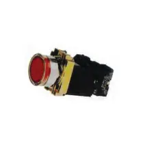 FORT ILLUMINATED PUSH BUTTON WITH NEON LAY5BW33343561  33343541